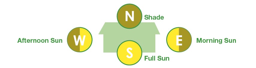 How much sun does a west-facing garden get?