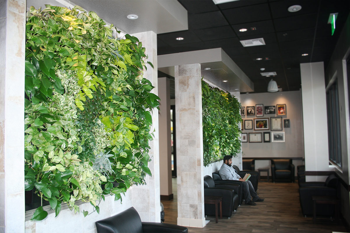 Simple Green Wall Indoor with Simple Decor