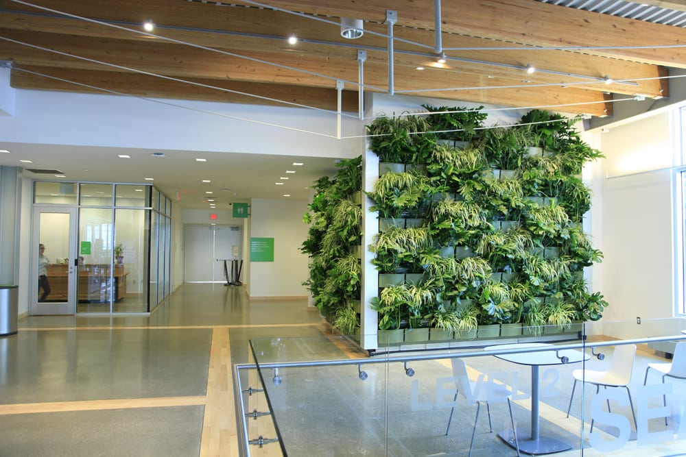Grand Rapids Downtown Market Expands Green Space With Indoor Living Wall  LiveWall Green Wall 