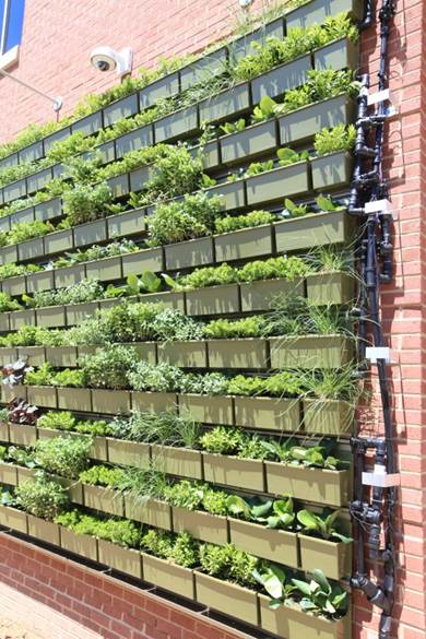 green wall system