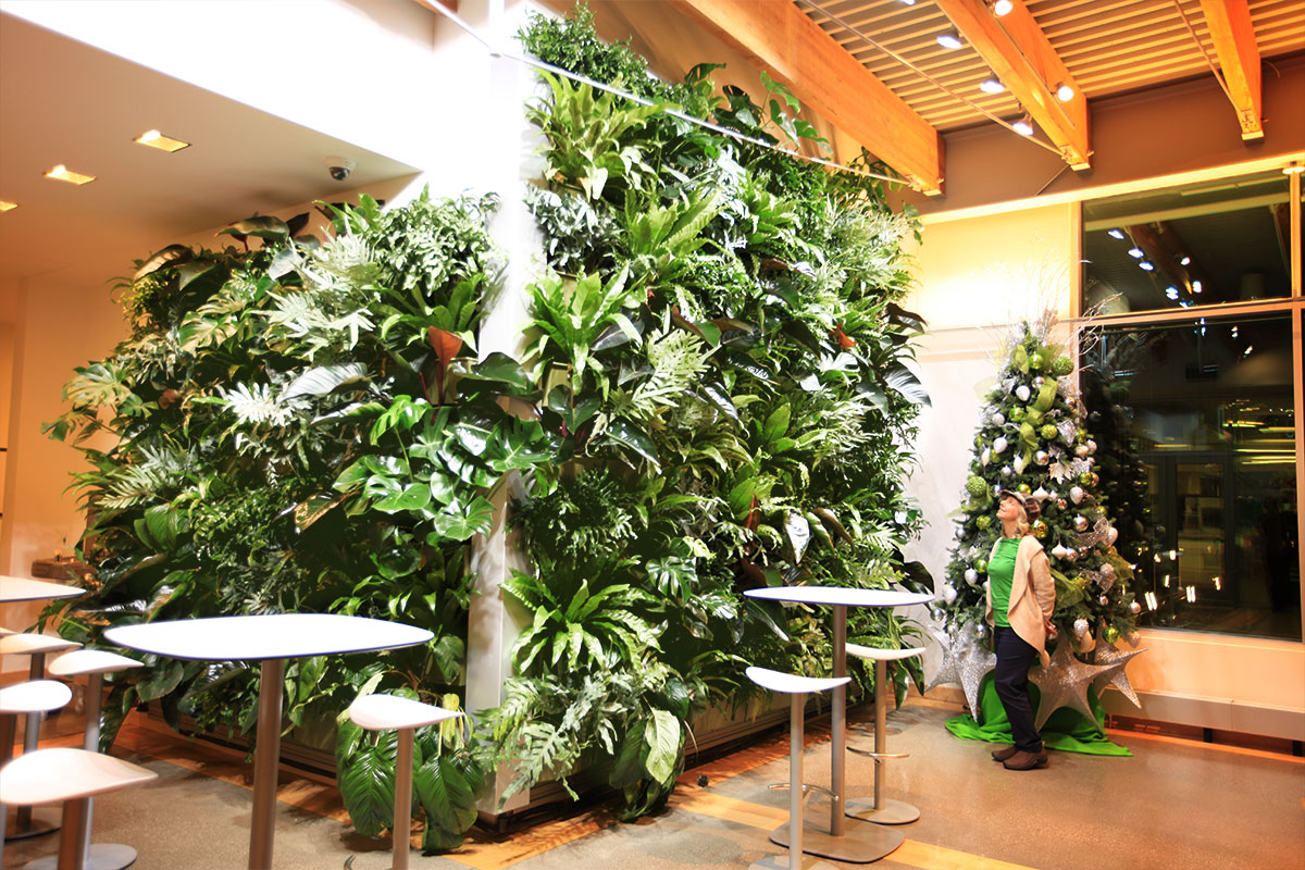 Indoor Living Walls Livewall Vertical Plant Wall System