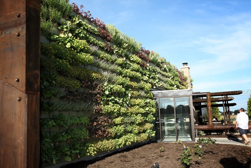 Hardware Gastropub outdoor living wall, planted with perennials.