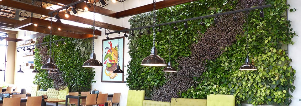 Indoor-Living-Wall-by-LiveWall-at-Brome-Burger