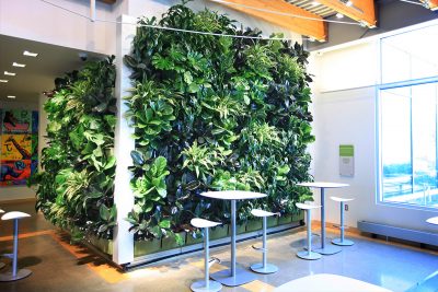 Fully vegetated green wall with track lighting.
