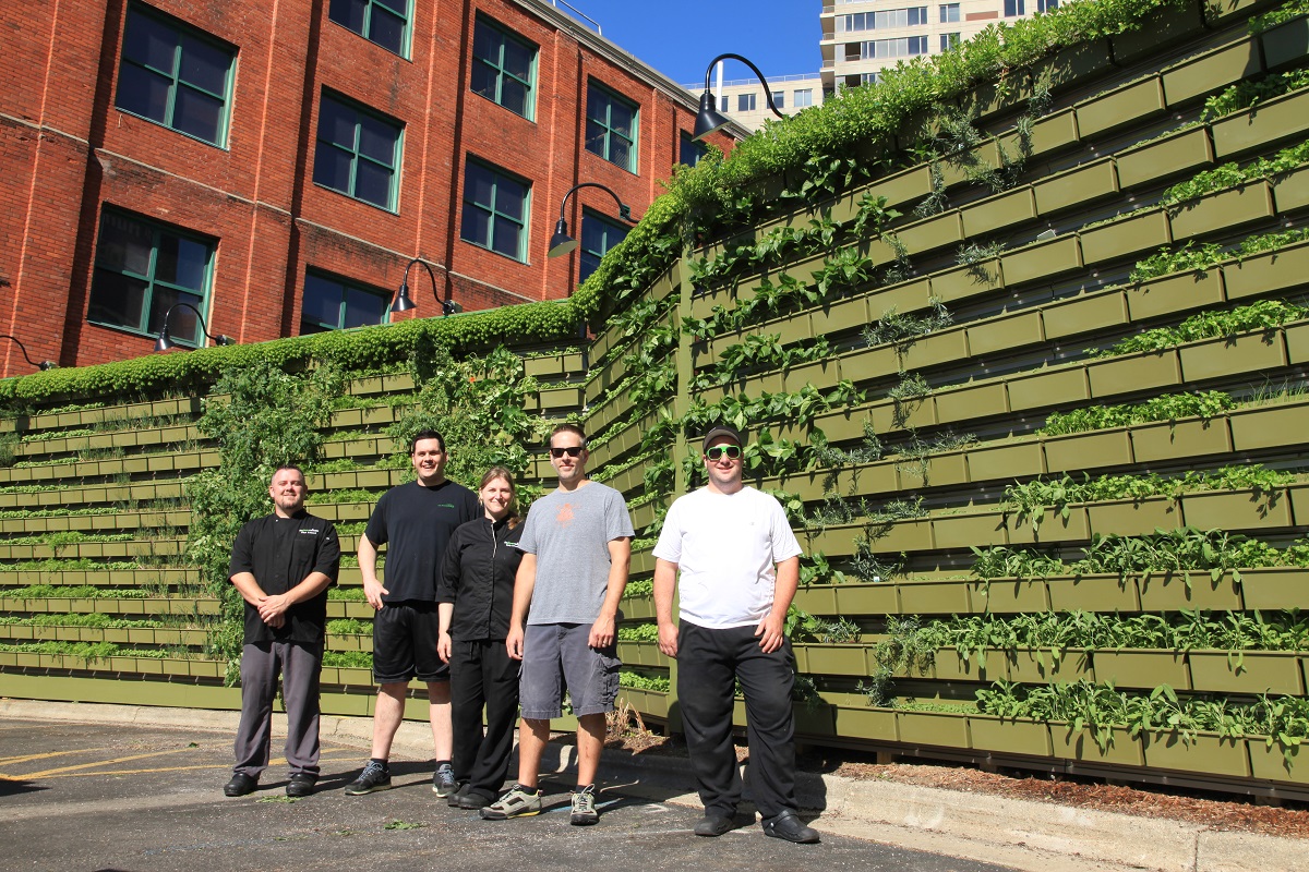 Chefs standing in front of a LiveWall herb garden at The BOB in Grand Rapids, MI.