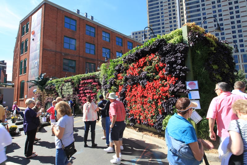 ArtPrize attendees crowd around living wall entitled "Back to Eden."