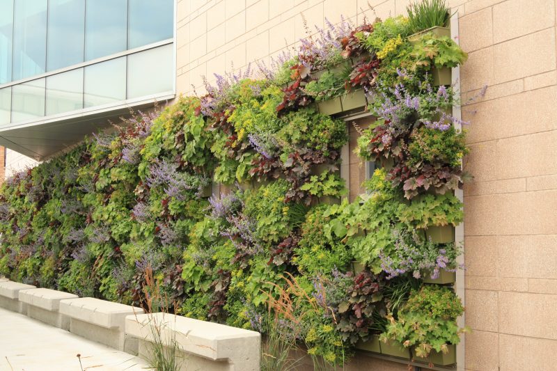 The LiveWall green wall at The Rapid Central Station in Grand Rapids, MI.