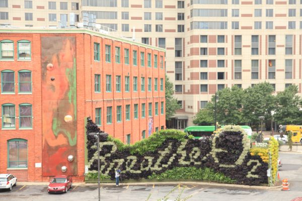 Living walls bring plants back to urban environments.