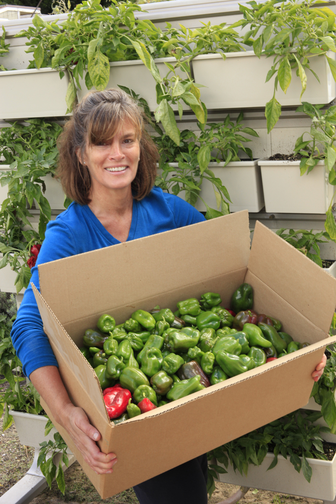 https://livewall.com/wp-content/uploads/2015/07/Linda-with-30-pounds-of-peppers-vertical-garden.jpg