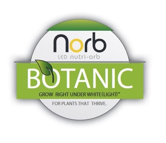 Norb Nutri-Orb Botanic Grow Light by LiveWall