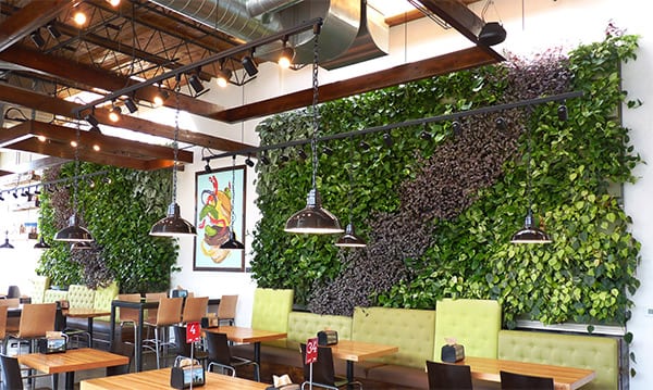 Brome Burger Green Walls