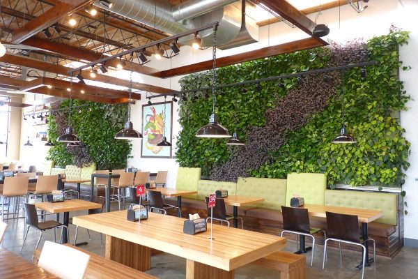 A picturesque view of the LiveWall green living wall at Brome Modern Eatery in Dearborn, MI.