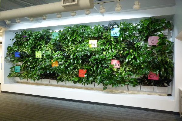 Applied Imaging has a green wall in its new corporate office lobby.