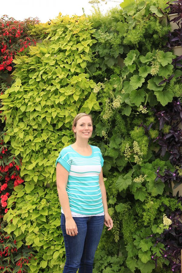 Varying stripe colors from alternating plants in a vertical garden.