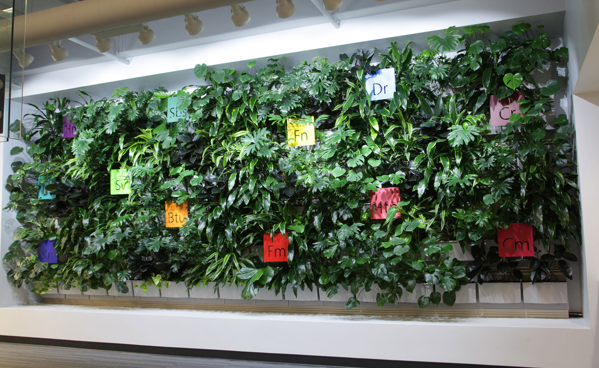 Indoor Living Wall Corporate Office Lobby 