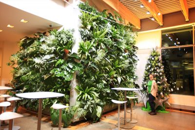 This living wall installation is lit by 12 Norb® bulbs (6 with 30 degree beam angle and 6 with 15 degree beam angle) directed at the 8’ x 8’ and 11’ x 11’ walls. These bulbs are angled from track lighting attached to the 12 foot ceiling. 