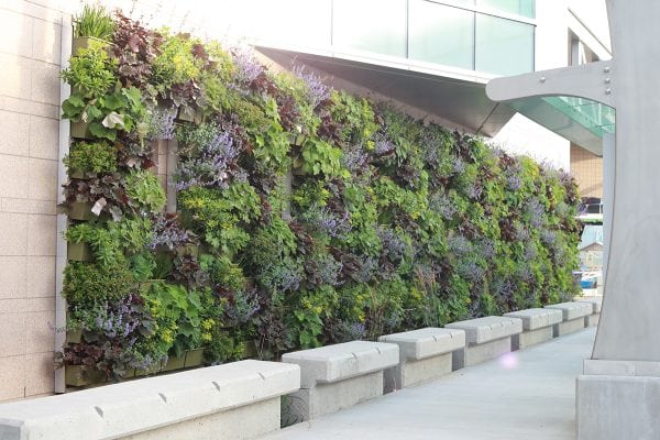 Components - LiveWall Vertical Plant Wall System