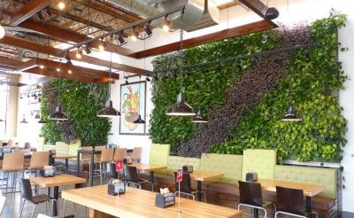 Brome Modern Eatery Restaurant Interior Green Walls - LiveWall Green ...