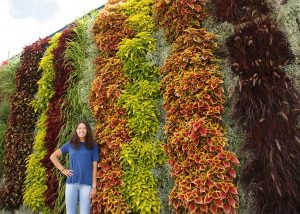 Outdoor vertical gardens by LiveWall offer unlimited design opportunities.