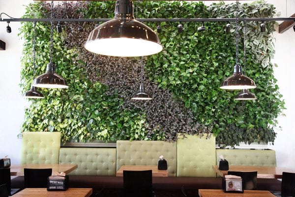 Brome Modern Eatery Restaurant Interior Green Walls - LiveWall Green ...