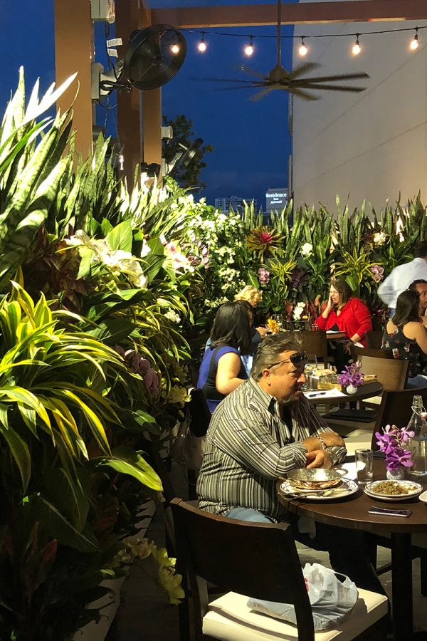 Living walls add privacy and ambiance at Serafina Restaurant in Miami, Florida.