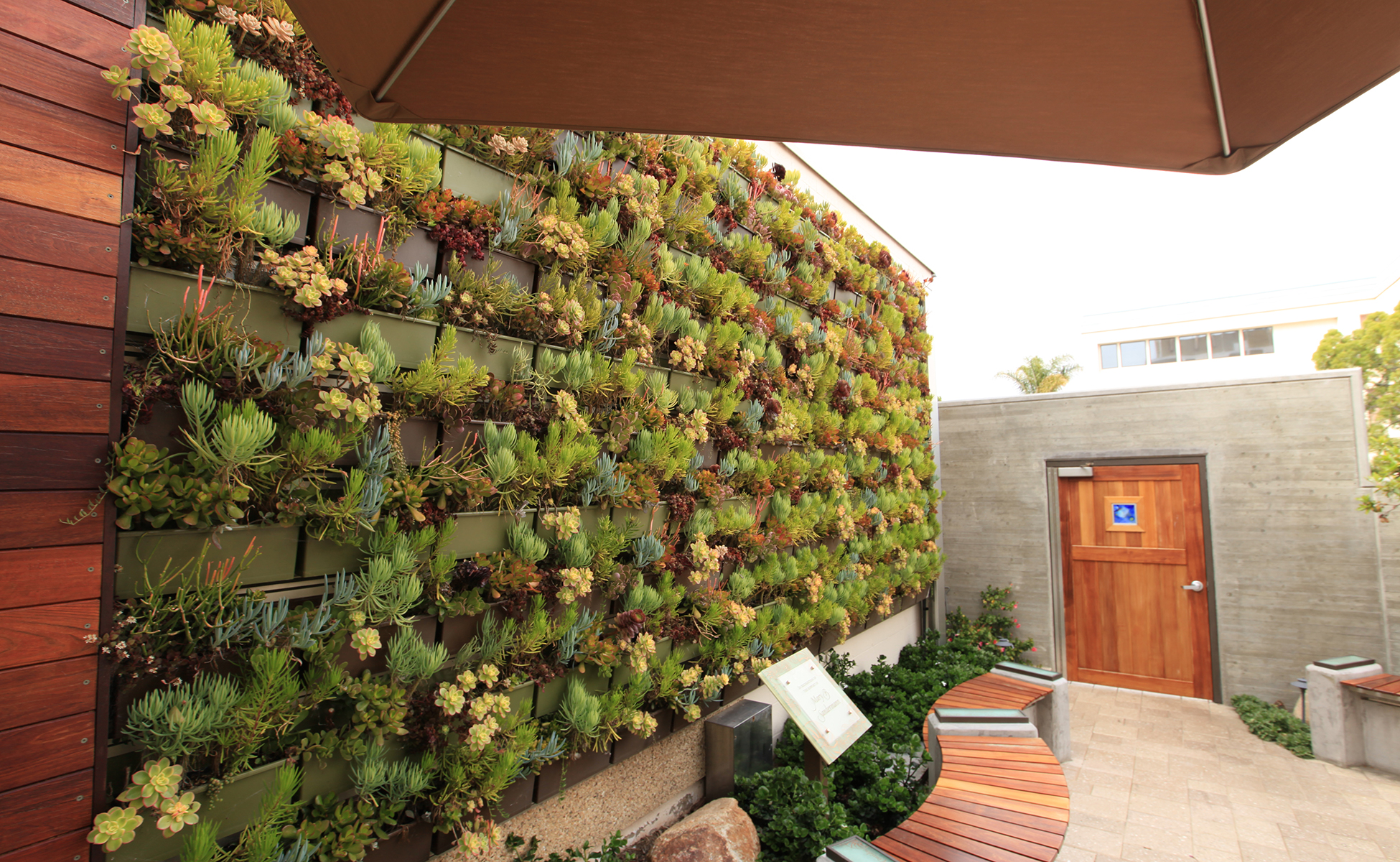 Exterior succulent living wall in warm climate.