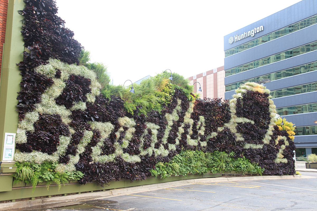 Breathe O2 ArtPrize entry exemplifies how living walls can serve as outlets for artistic expression.