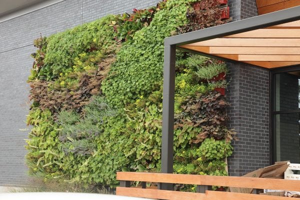 Breton Village Shopping Center Outdoor Living Wall - LiveWall Green ...