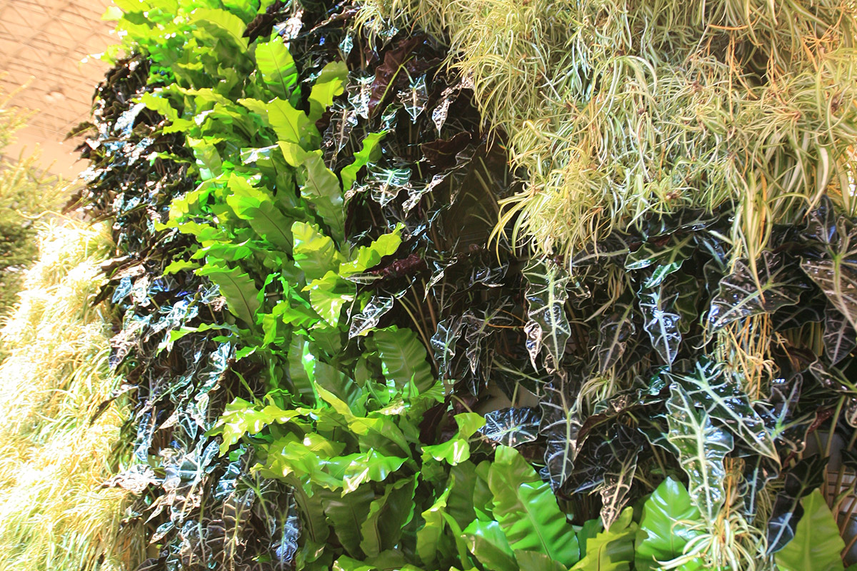 Closeup of a living wall at the Chicago Flower and Garden Show.