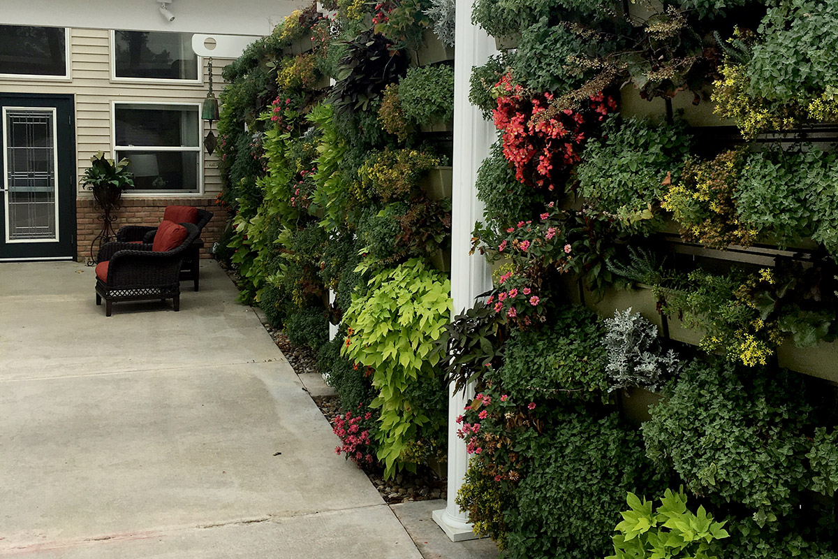 Living walls create an inviting atmosphere.