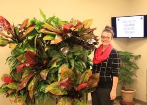 Four Pointes Activities Director Jessie Riley and Indoor Demonstration Green Wall on Wheels