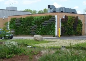 Green walls planted with perennial plants on the Grand Rapids Water Resource Recovery Facility (GRWRRF).