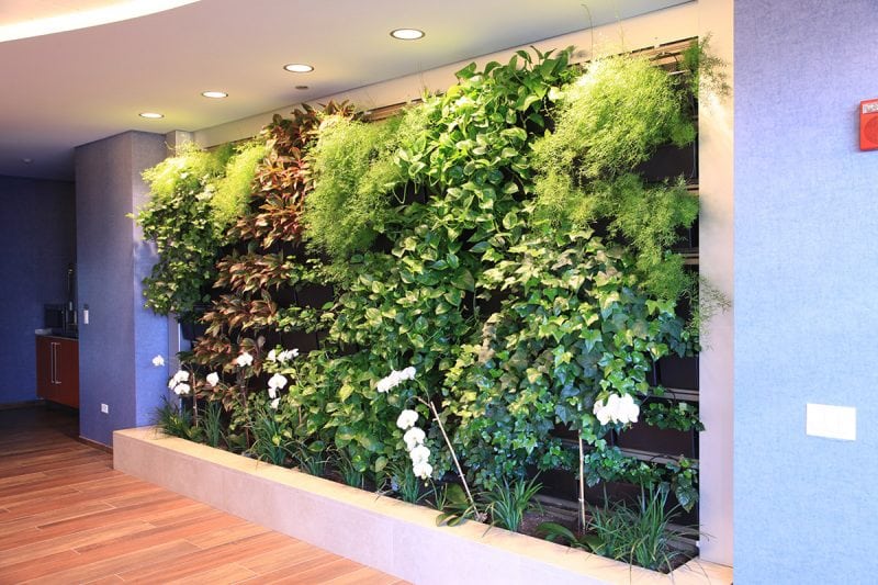 Hubbard Street Apartments in Chicago - LiveWall Green Wall System