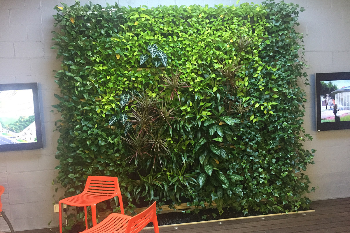 The MBTW group is a landscape architecture firm in Toronto, Ontario, which has installed and maintains their own LiveWall indoor green wall.