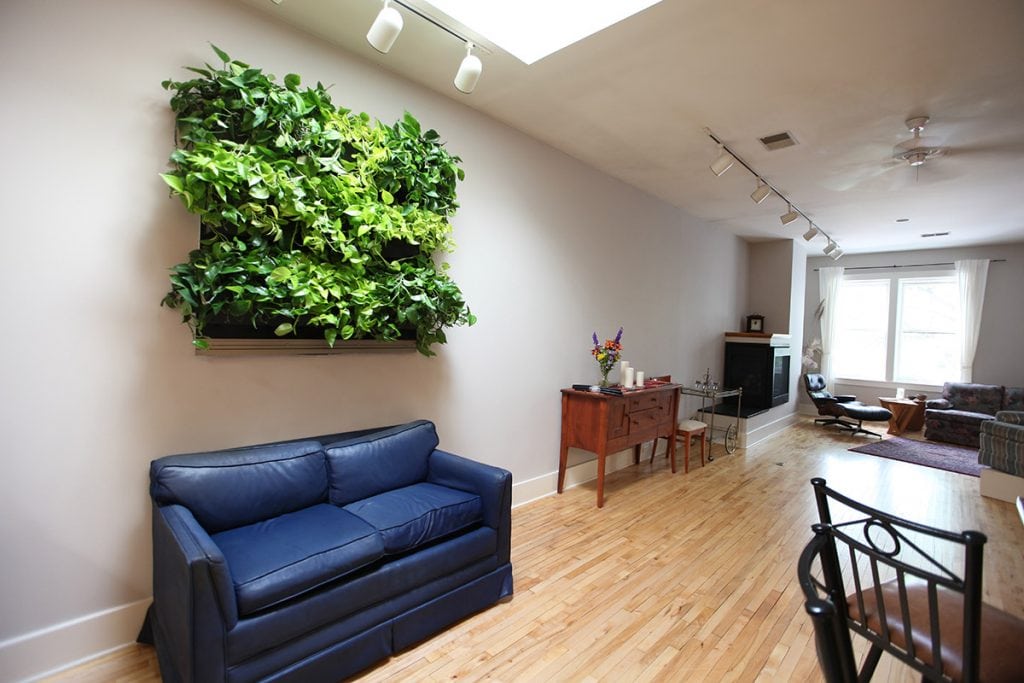An Indoor Living Wall Installed in a Michigan Residence