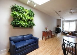 Living walls can be used to bring nature indoors.