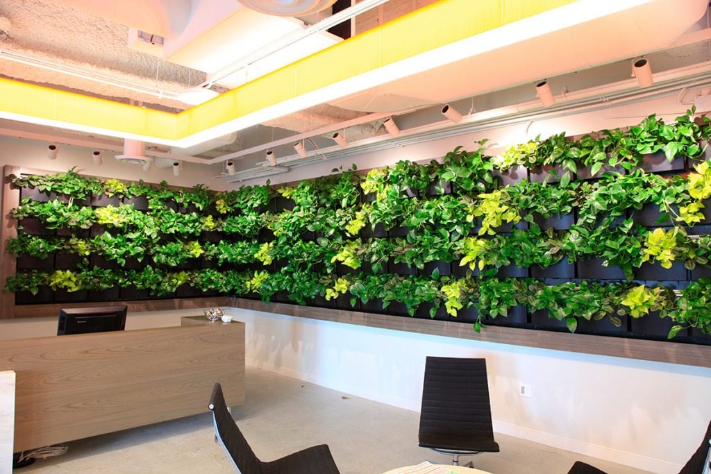 Smith Group JJR Reception Area Wall - Recently Trimmed