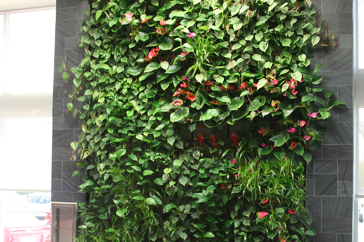 Living walls in dealerships make it easier for customers to wait.