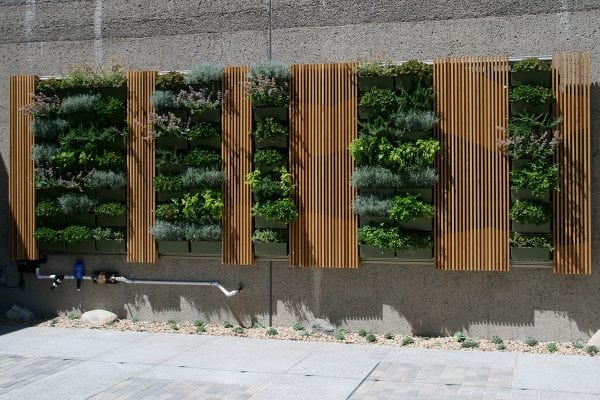 University of California San Diego Courtyard Planted Walls - LiveWall ...