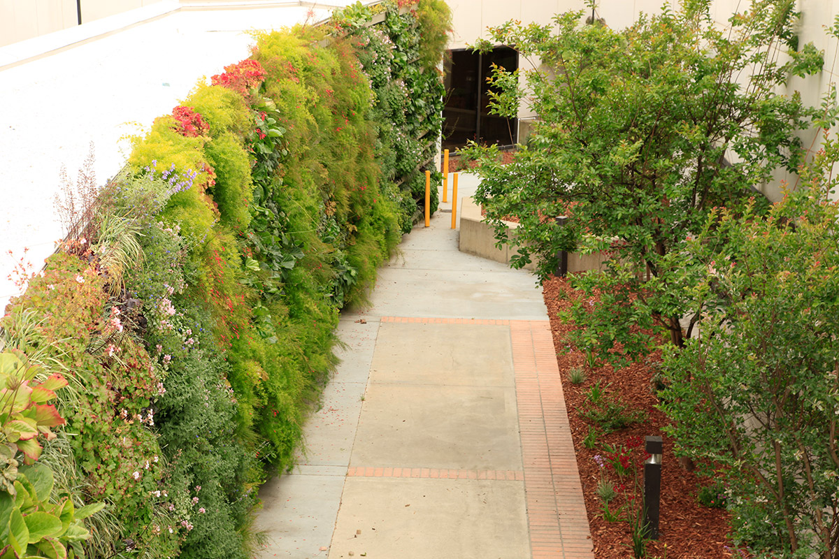 VA hospitals introduces a green wall to bring natural views.