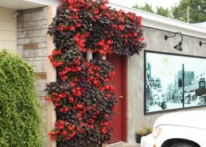 Wasserman's Floral in Muskegon, Michigan, greets visitors with a green, living wall.