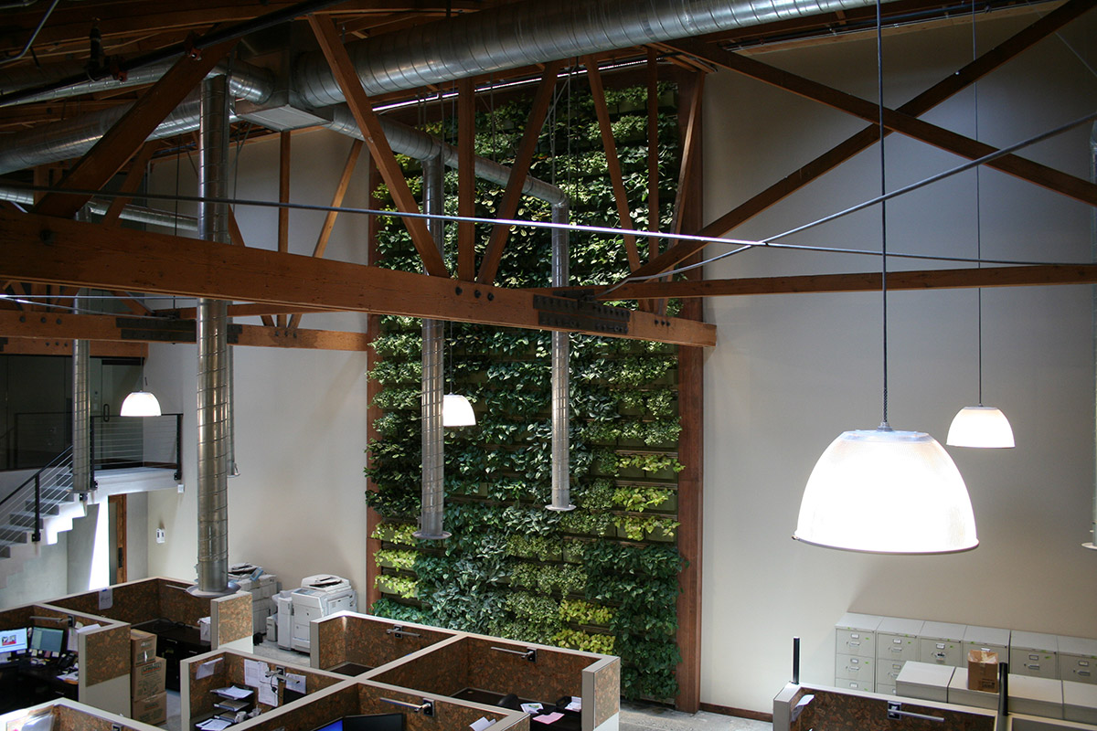 A view of the Willow Street Realty office and their 480 square foot LiveWall green living wall that stretches from floor to ceiling.