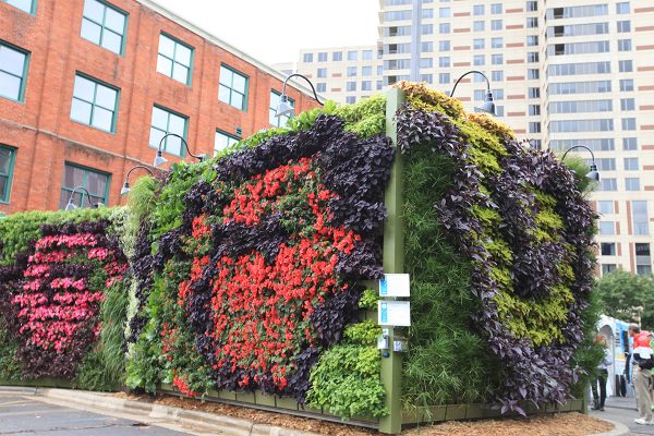 Back to Eden green wall art installation by Dave MacKenzie.