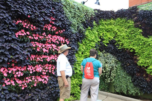 Green walls invite reflection and connection to nature, as experienced by attendees of 2013 ArtPrize.