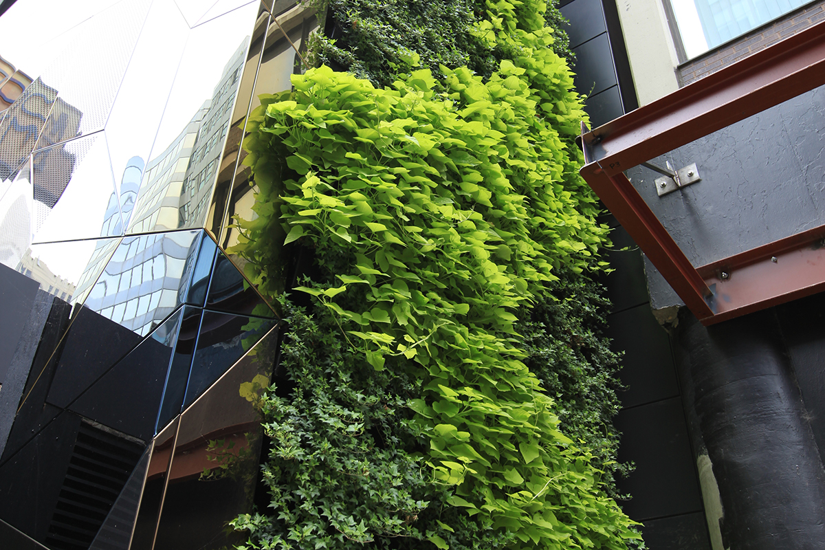 LiveWall Outdoor green walls are durable, sustainable structures.