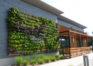 Breton Village Shopping Center in Grand Rapids, Michigan, included an outdoor living wall in building renovations.