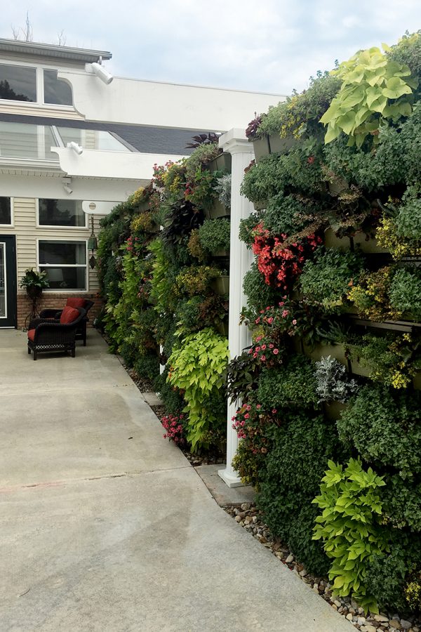 Green walls at Country Club Rehabilitation Campus in Delaware, OH.