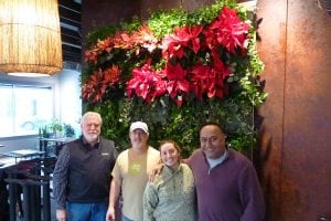 East West Brewing Company Indoor Living Wall, at Time of Installation