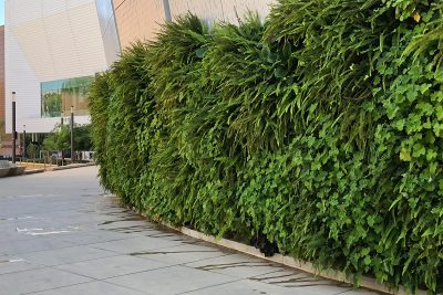 Lush green plants surround the Golden 1 Center in Sacramento, California.