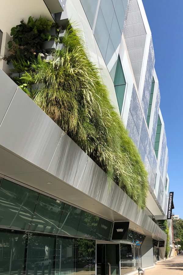 Vertical garden at Golden 1 Center Arena in Sacramento, California at Golden 1 Center Arena in Sacramento, California.